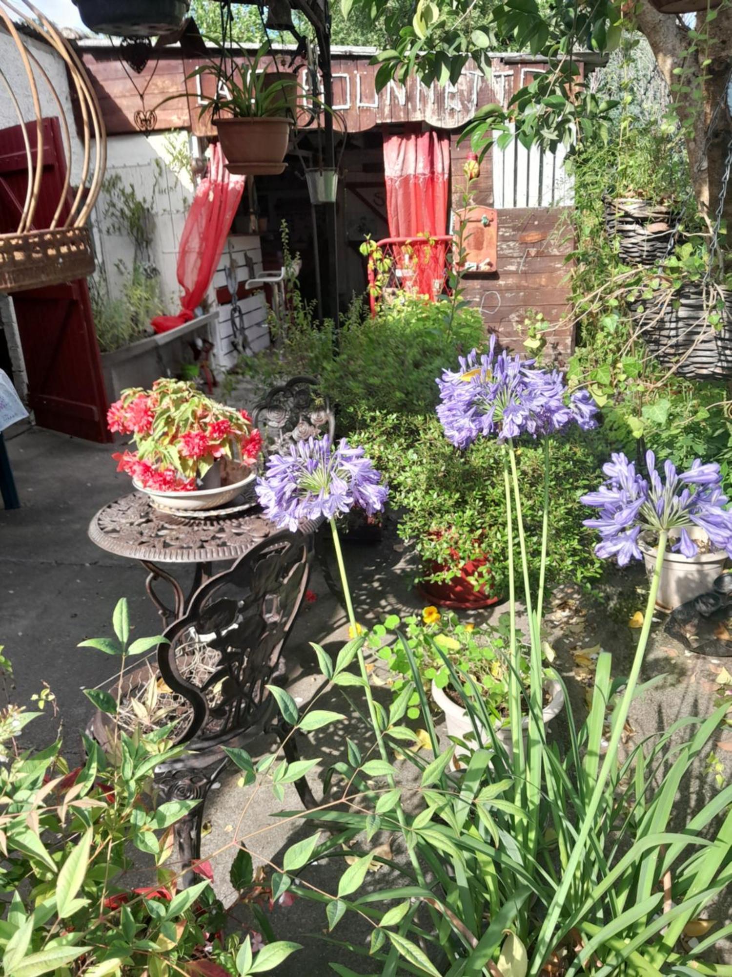 Chambre D'Hote Amitie Et Jardin Carmaux エクステリア 写真
